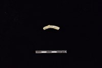 陶環藏品圖，第1張